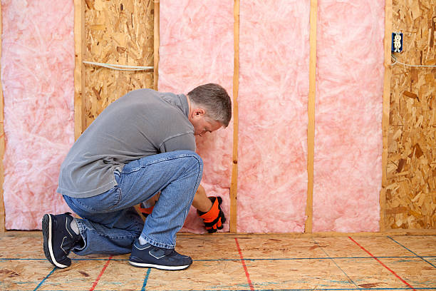 Best Insulation Materials and Products in Raymond, IL