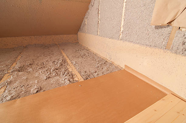 Best Insulation Maintenance and Repair in Raymond, IL